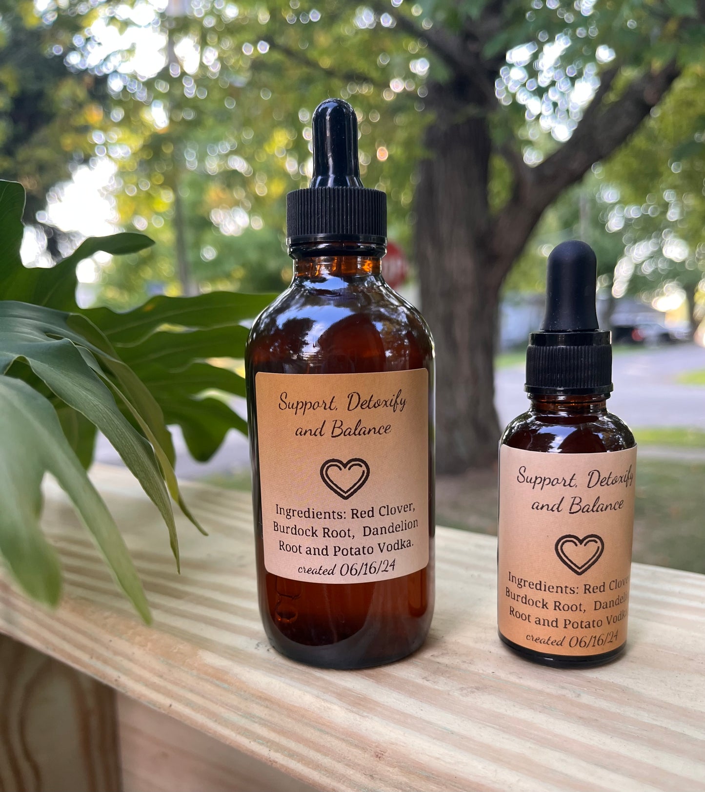 Support, Detox and Balance Tincture