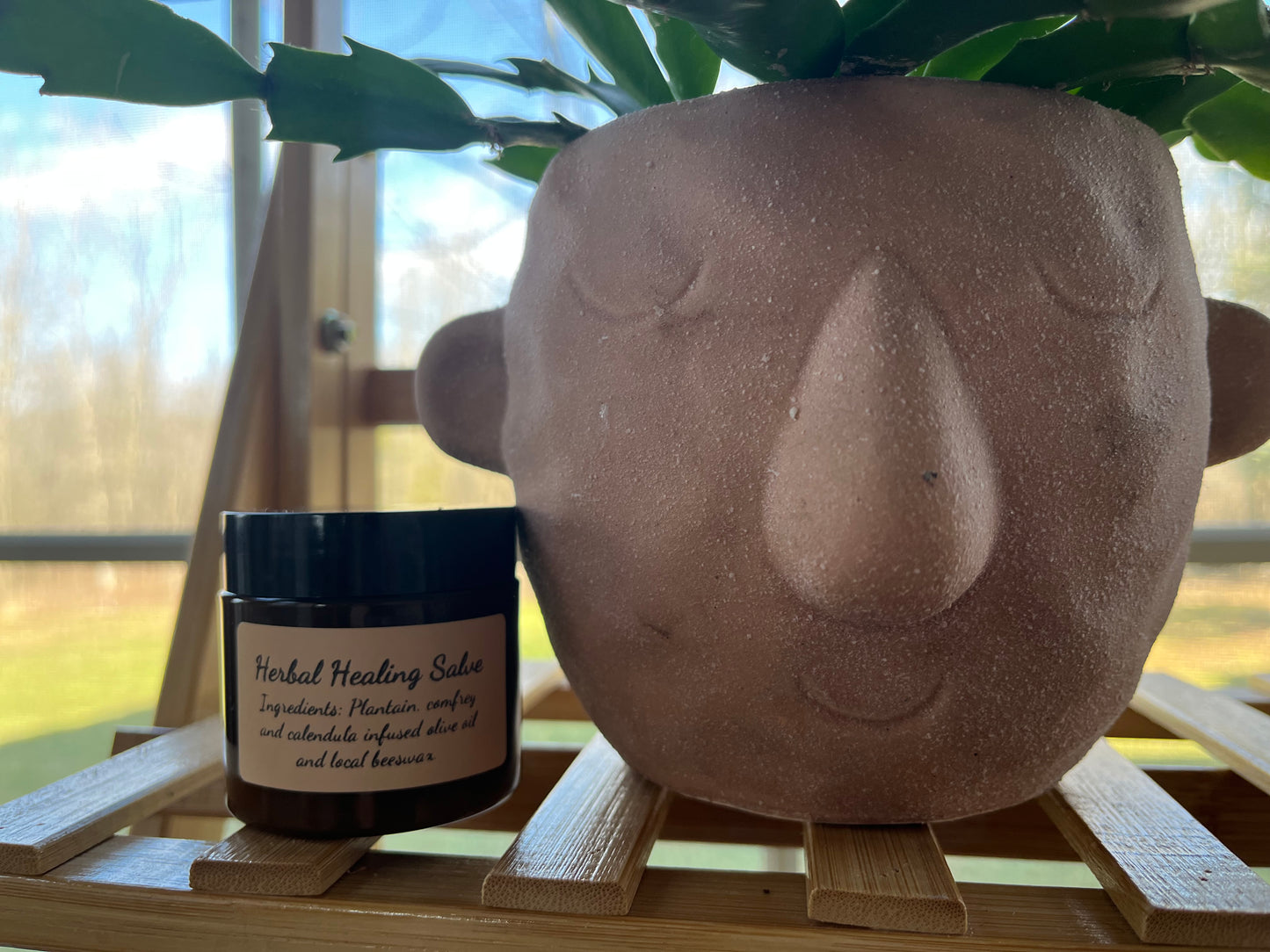 Herbal Healing Salve